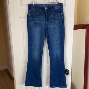 Democracy Dark Blue AbSolution Flare Jeans